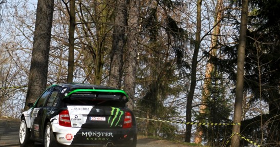 Testy Fiesta Trophy i Fabii WRC